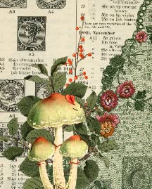 Mushroom Cottagecore
