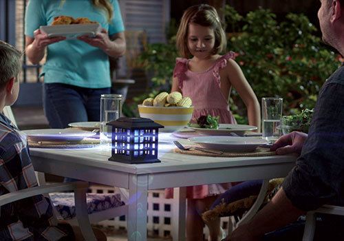 Solar Powered Bug Zapper - Outdoor Mosquito Killer & Insect Trap for Patio, Garden, and Backyard | Eco-Friendly Pest Control Solution for Summer Nights