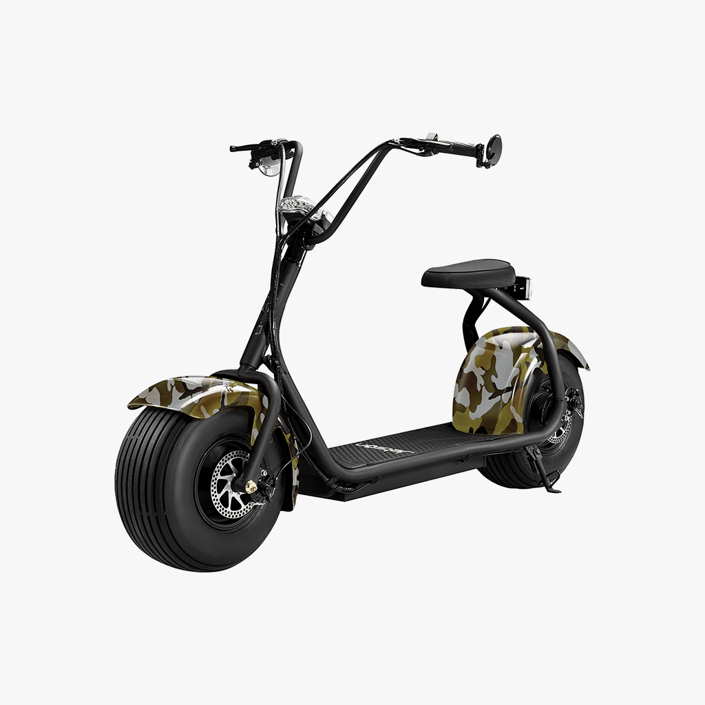 Fatboy Electric Bike for Adults - 750W Motor, 20