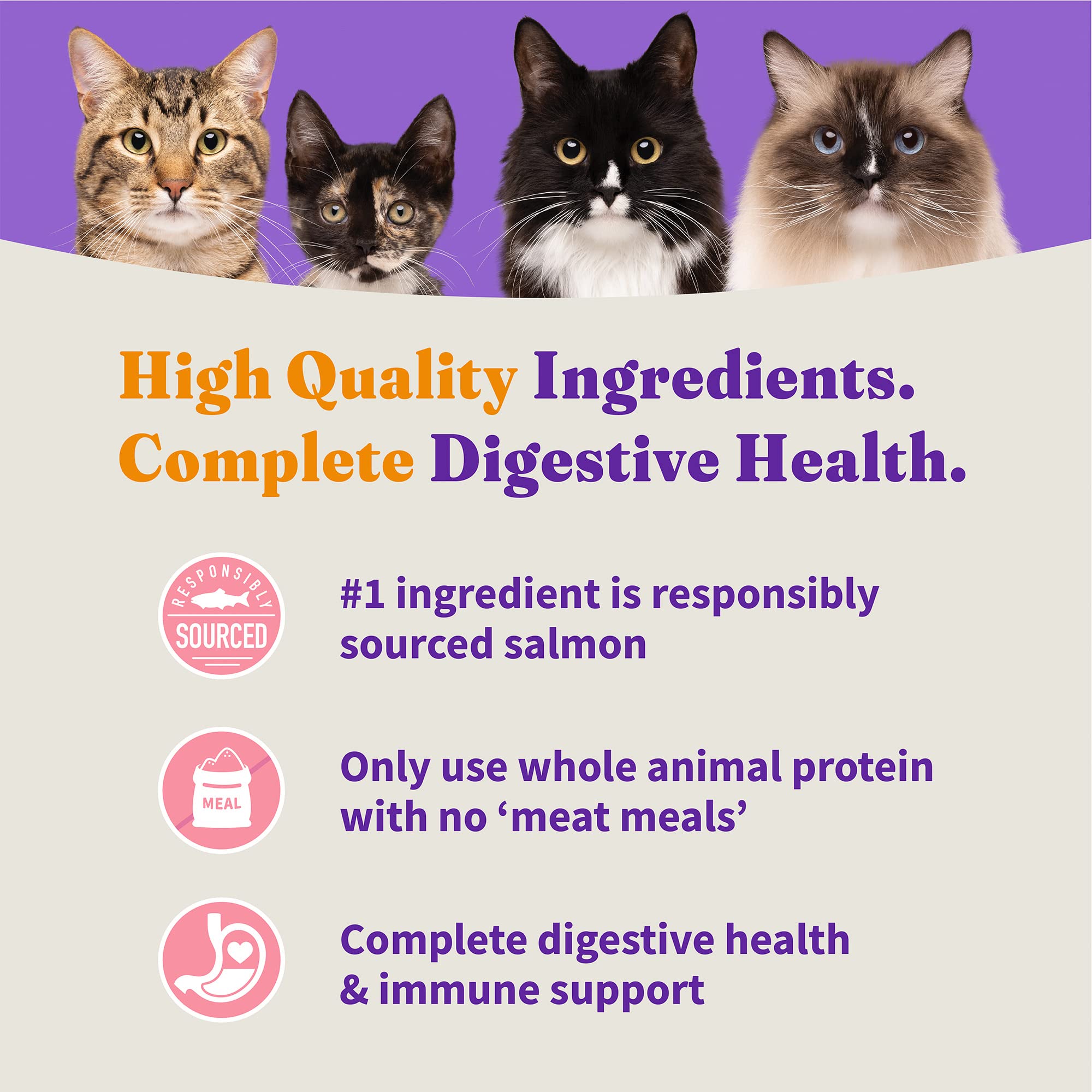 Halo Holistic Grain-Free Kitten Dry Food - Wild Caught Salmon & Whitefish Recipe for Complete Digestive Health - 10 lb Bag - Perfect for Growing Kittens & Sensitive Stomachs