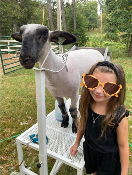 Adjustable Metal Goat Milking Stand for Sheep & Livestock - Heavy Duty Trimming & Shearing Stand with Height Adjustable Headpiece - Perfect for Dairy Goats, Sheep Grooming & Farm Use (White)
