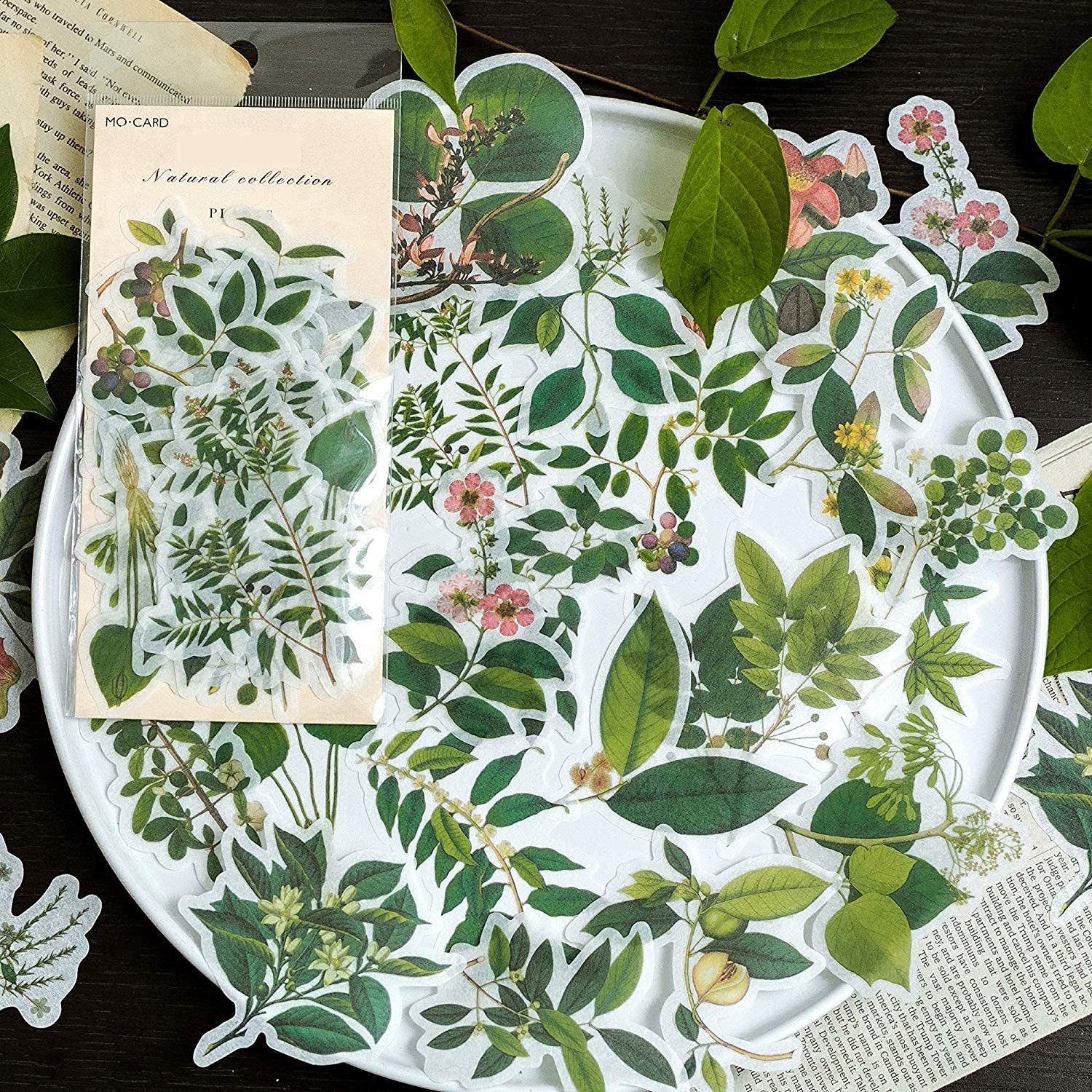 60pcs Green Plant Stickers for Laptop, Scrapbook, Notebook, Luggage & Glasses - DIY Decorative Vinyl Stickers Set with Plants Map Design - Perfect for Journaling, Gift Wrapping & Personalizing Accessories