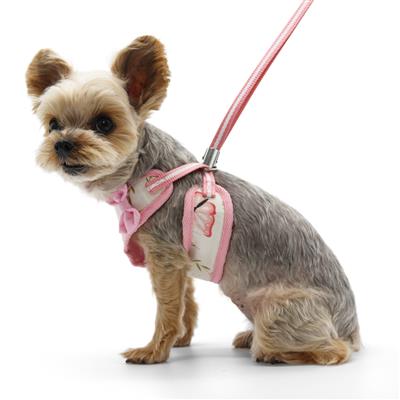 EasyGO Butterfly Harness - Adjustable Pet Safety Vest for Small Dogs & Cats - Perfect for Outdoor Adventures, Hiking, and Travel