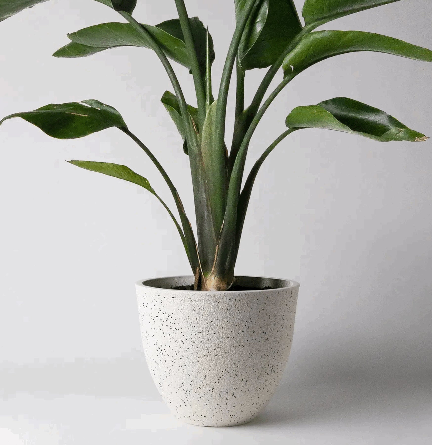 Modern Textured Ceramic Planter Pot for Indoor Plants - Perfect for Home Decor, Office Desk, and Living Room Greenery