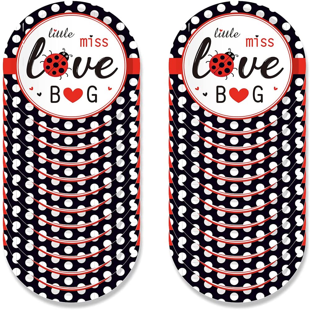 Ladybug Themed Birthday Party Supplies Kit for Girls - Includes Banner, Balloons, Tableware & Favor Pack for 8 Kids | Perfect for Garden Parties, Spring Celebrations & Children's Birthday Decorations