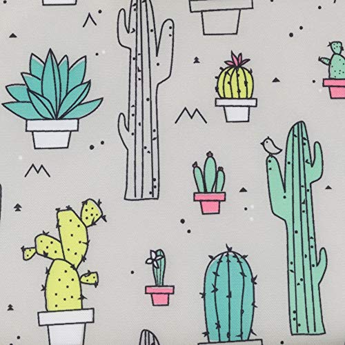 B2 Cactus