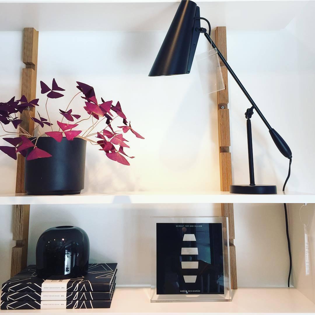 Stylish Birdy Table Lamp - Modern LED Desk Light for Home & Office Decor - Perfect for Bedroom, Living Room, and Study Spaces