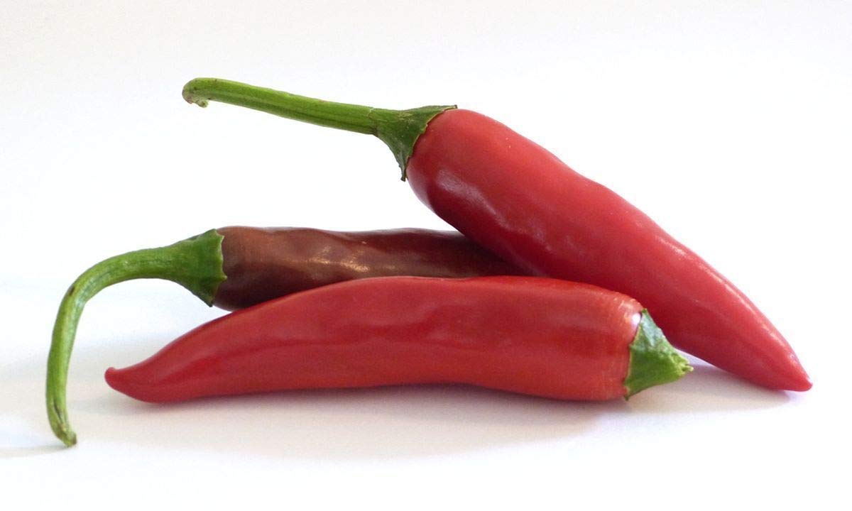 Costeno Hot Pepper Seeds - Heirloom Mexican Chili from Oaxaca (50 Seeds) for Home Gardening & Authentic Mexican Cooking