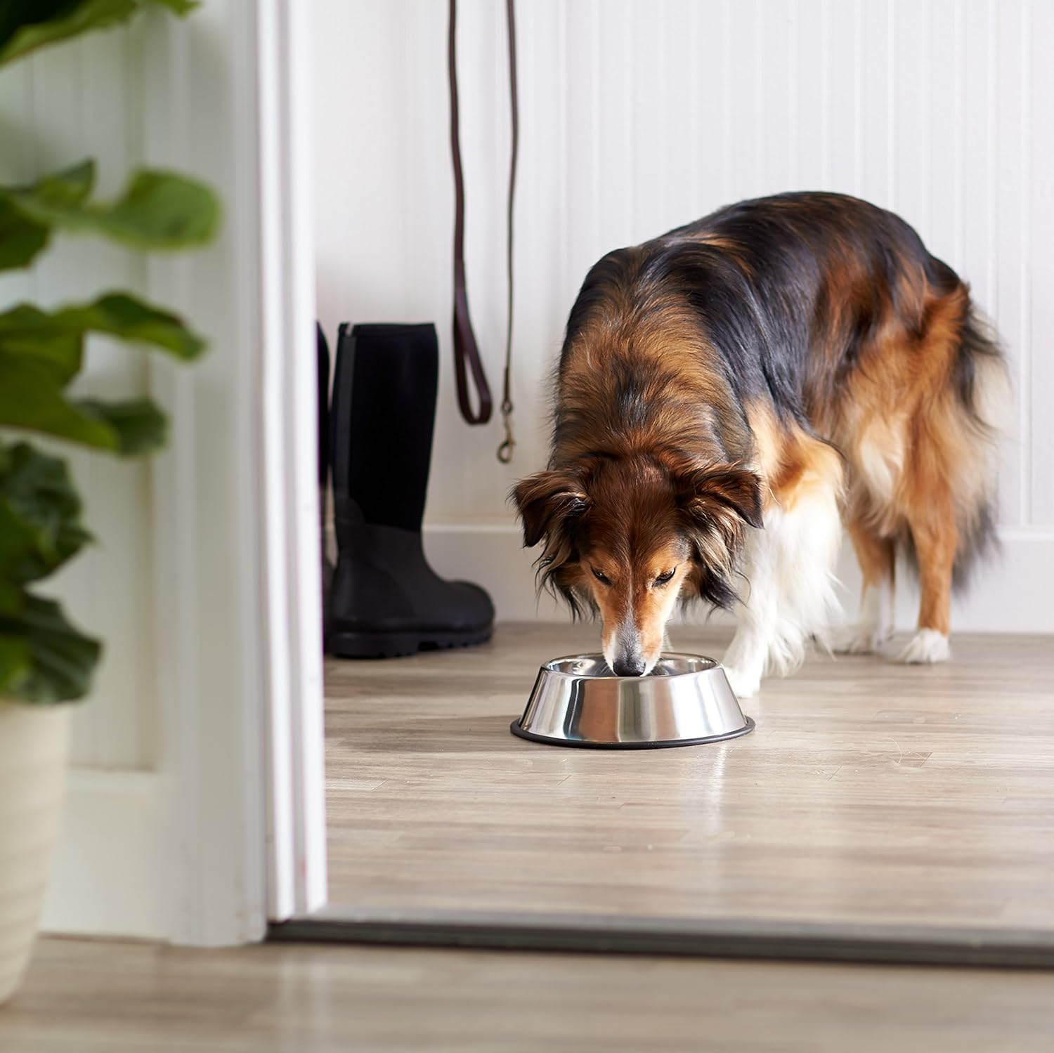 Stainless Steel Dog Bowl with Non-Slip Rubber Base - 2 Pack Small Pet Food & Water Dish for Dogs, Cats, Puppies & Kittens (100ml) - Perfect for Home, Travel & Outdoor Feeding