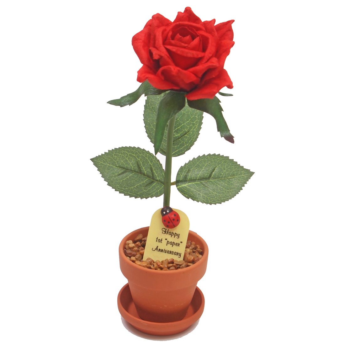 1st Year Wedding Anniversary Gift - 7