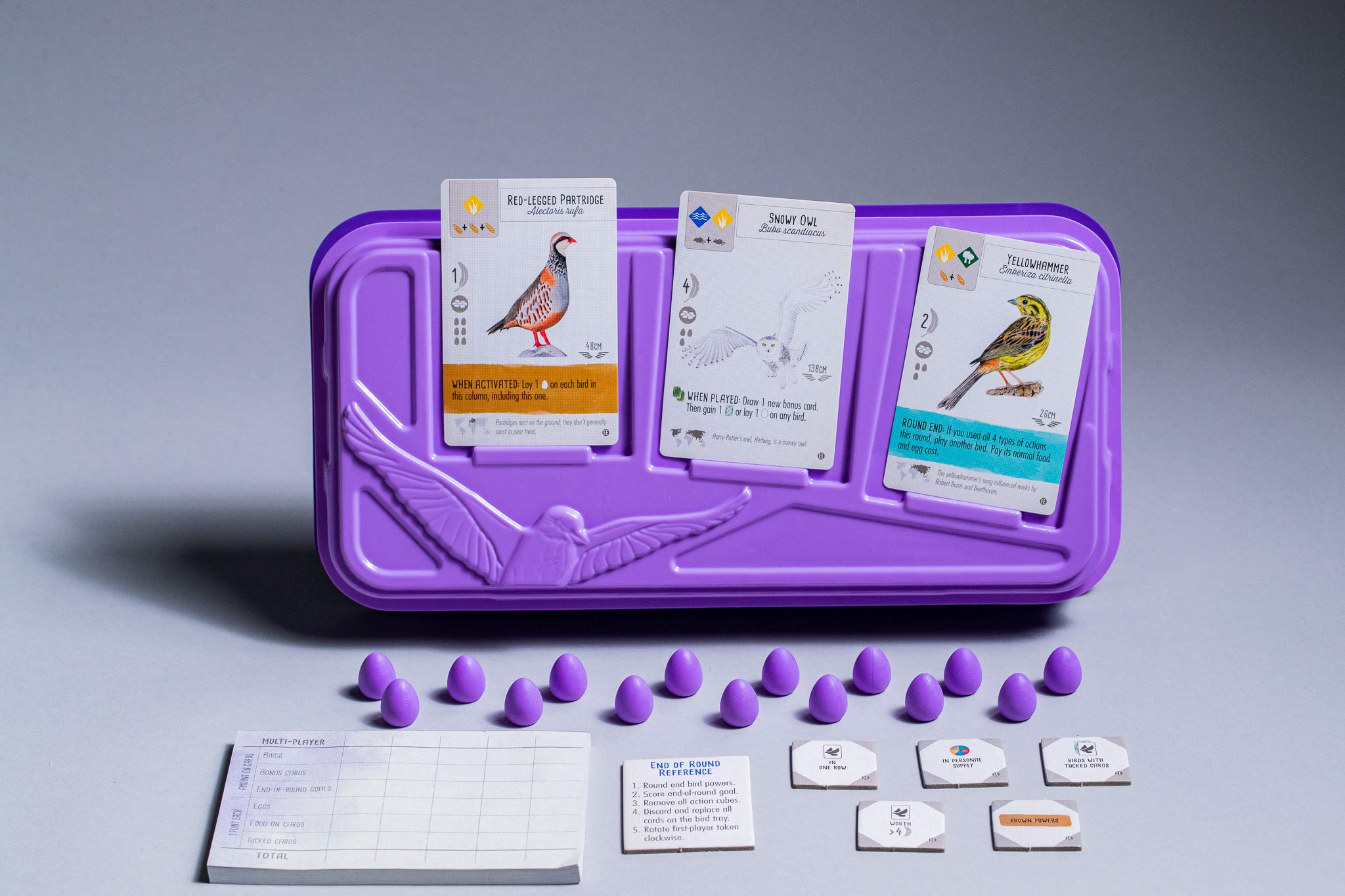 Wingspan European Expansion Board Game by Stonemaier Games - English Edition | Strategic Bird Card Game for Family Game Night & Board Game Enthusiasts