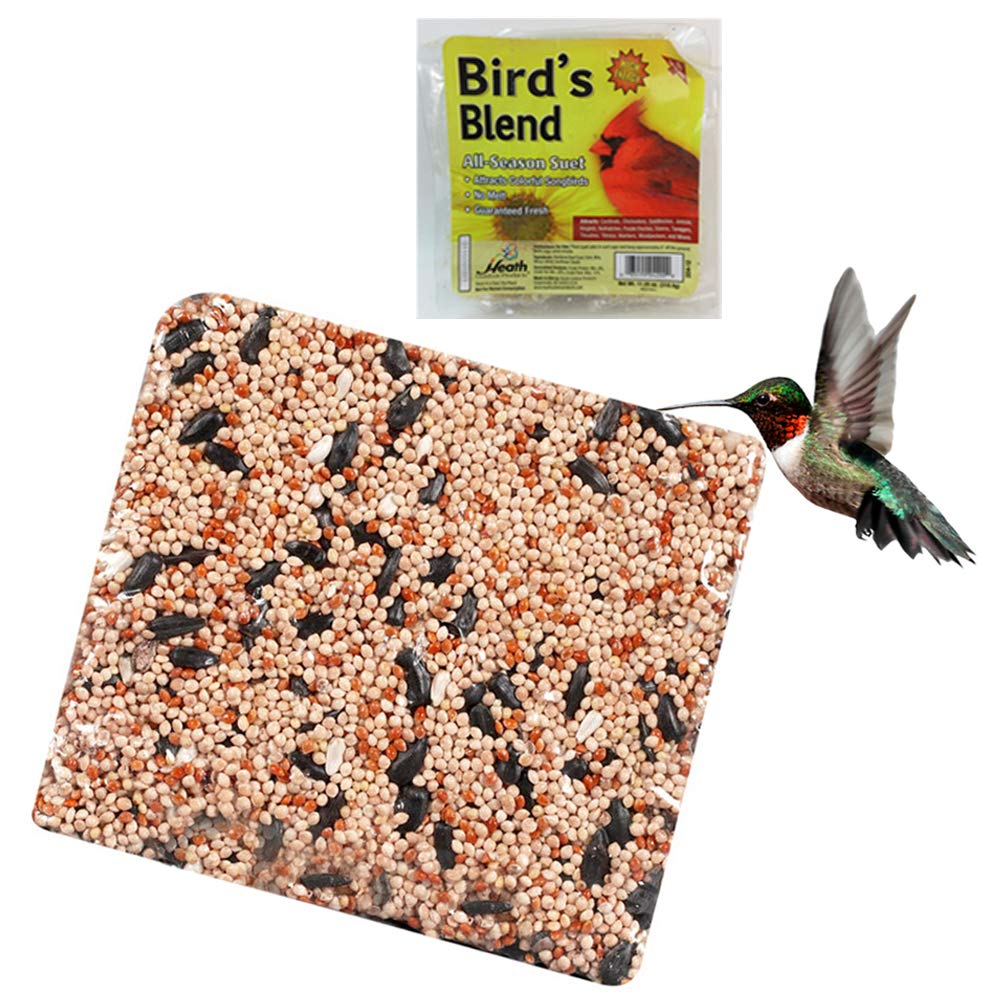 Bird's Blend All Season Suet Wild Bird Food Cake Treat 11.25 oz - Attract Birds Year-Round for Backyard Birdwatching