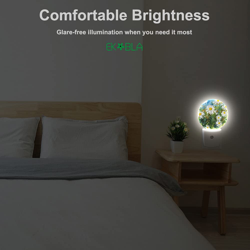 EKOBLA White Daisy Night Light - 0.5W LED Plug-in Wall Nightlight with Dusk to Dawn Sensor for Bedroom, Nursery, Kids Room - Spring Garden Flower Decor for Women, Men & Children - Sleep Friendly Lighting Solution