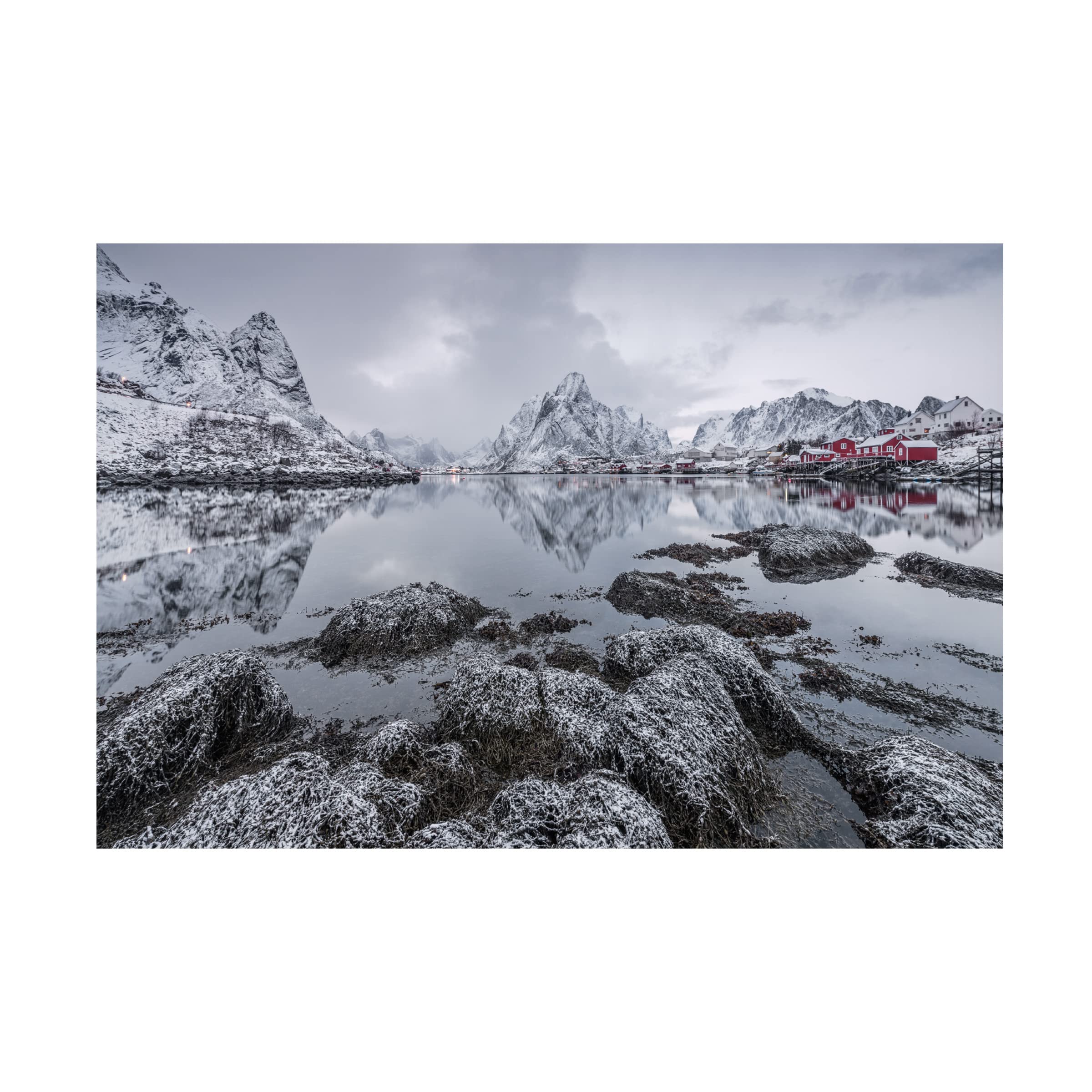 Trademark Fine Art 'Reine' Canvas Wall Art by Raymond Hoffmann - Elegant Home Decor for Living Room, Bedroom & Office