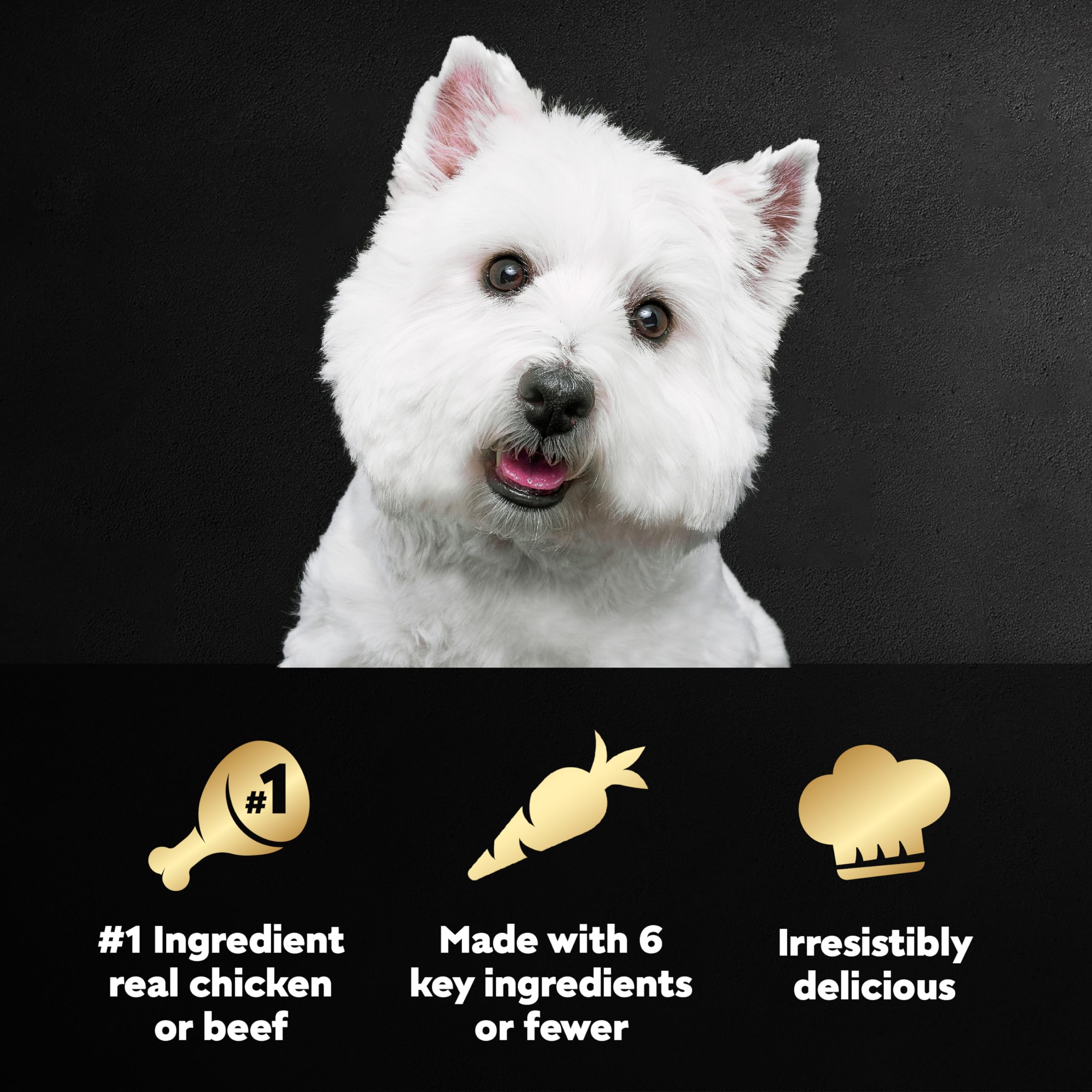 Premium Cesar Wet Dog Food Multipack - Grain-Free Chicken & Beef Recipe, 40 Count (1.3 oz Trays) | Tender Bites for Small & Medium Dogs | Perfect for Travel, Training & Mealtime Toppers