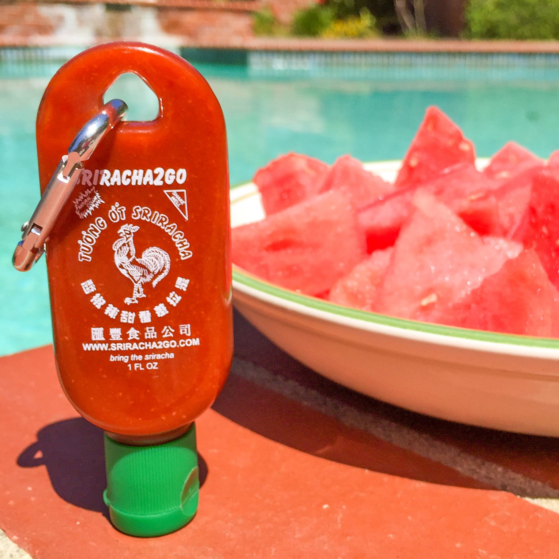 Sriracha2Go - Huy Fong Sriracha Hot Sauce Mini Keychain Bottle 1oz 10-Pack - Portable Spicy Condiment for Travel, Camping & Office Use - Perfect for Lunch Boxes, Picnics & On-the-Go Meals