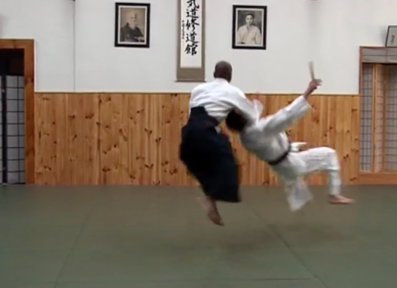 Aikido: Dynamic Variations DVD by Joe Thambu - Learn Advanced Aikido Techniques for Self-Defense & Martial Arts Training at Home