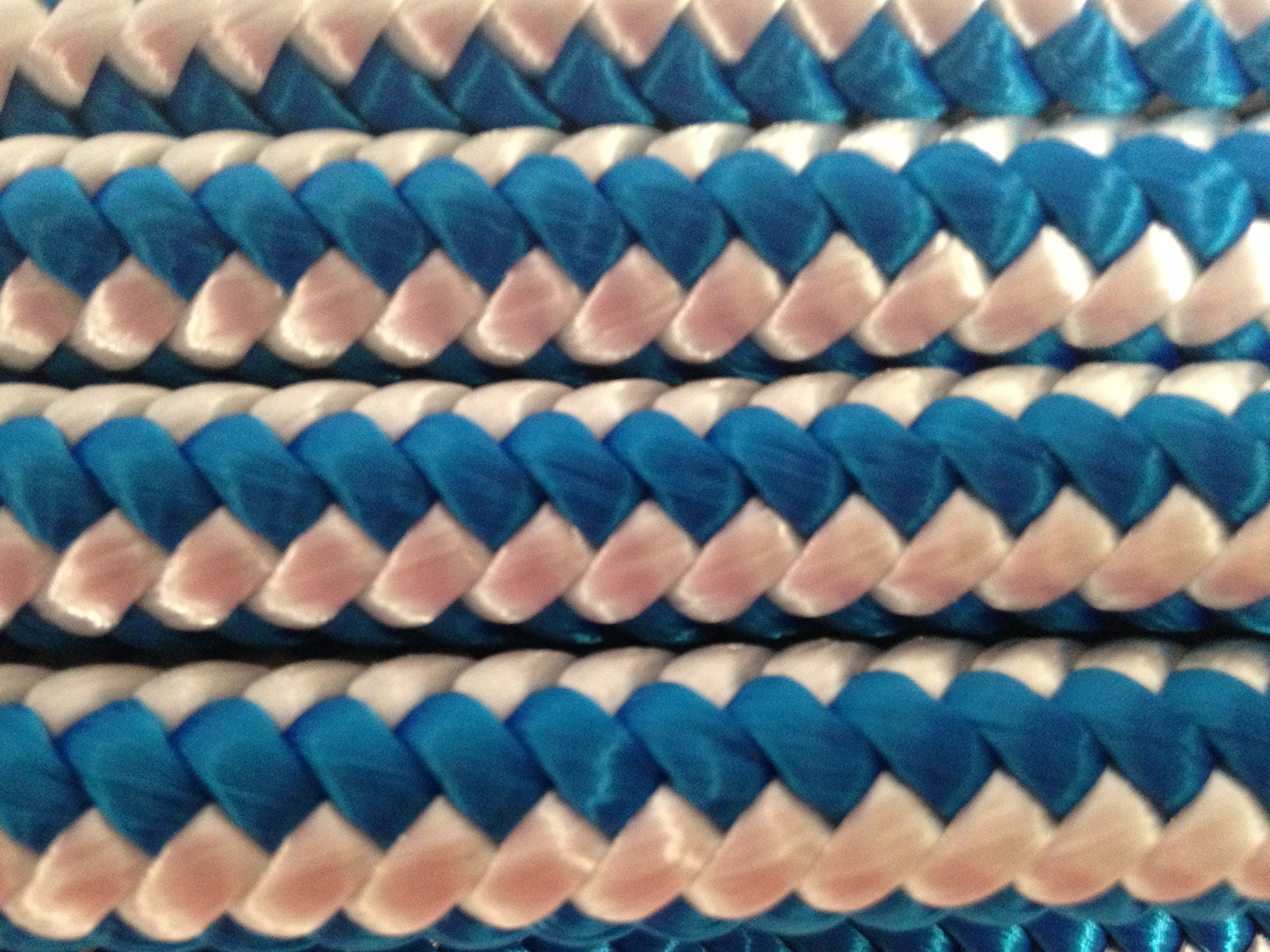 1/2 Inch x 100 Feet 12 Strand Polyester Arborist Climbing Rope - Blue & White - USA Made - Professional Tree Climbing & Rescue Gear