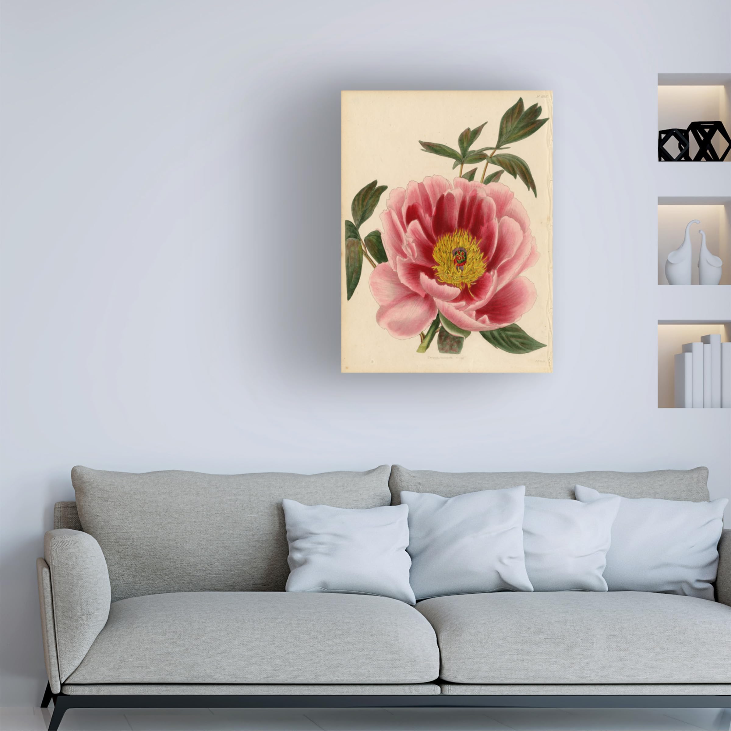 Trademark Fine Art 'Paeonia Montan' Floral Canvas Wall Art Print by Art Licensing Studio - Perfect for Living Room, Bedroom & Office Decor