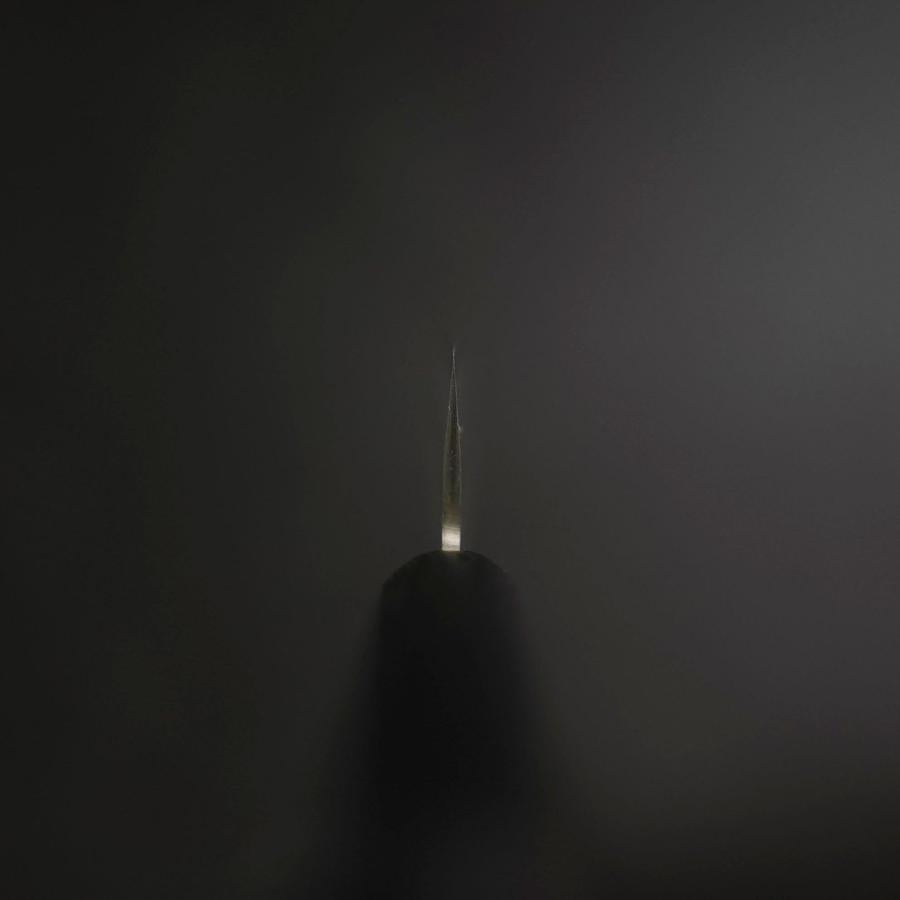 Premium Santoku Knife 5.3