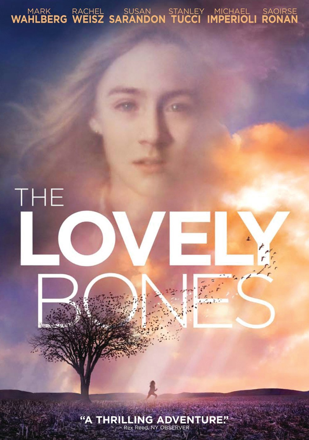 The Lovely Bones by Alice Sebold - Bestselling Novel About Love & Loss - Perfect for Book Clubs & Grief Healing