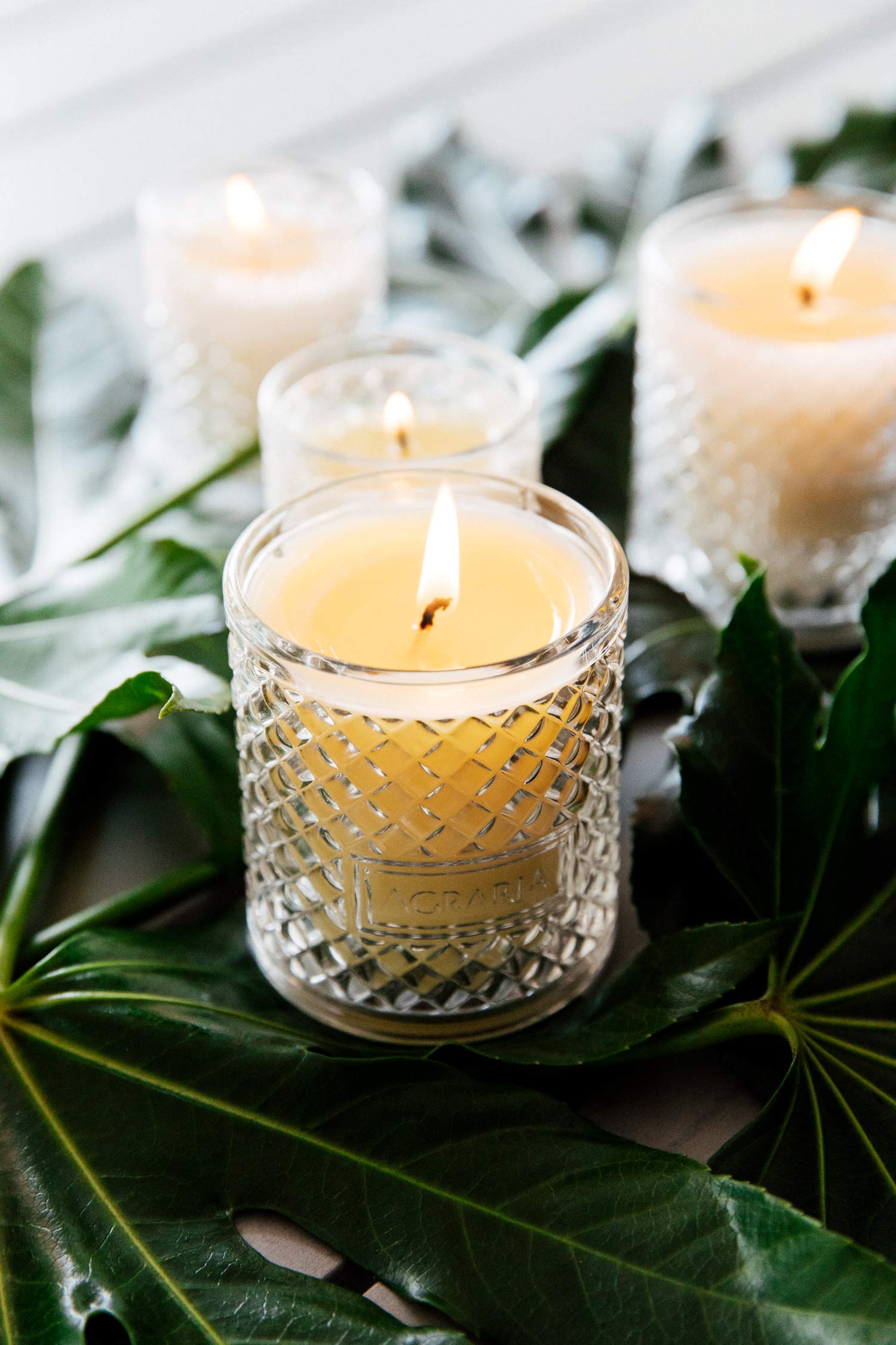 AGRARIA Premium Scented Soy Wax Candles - Vegan, Long-Lasting Home Fragrance (7oz) | Perfect for Relaxation, Romantic Dinners & Spa-Like Atmosphere