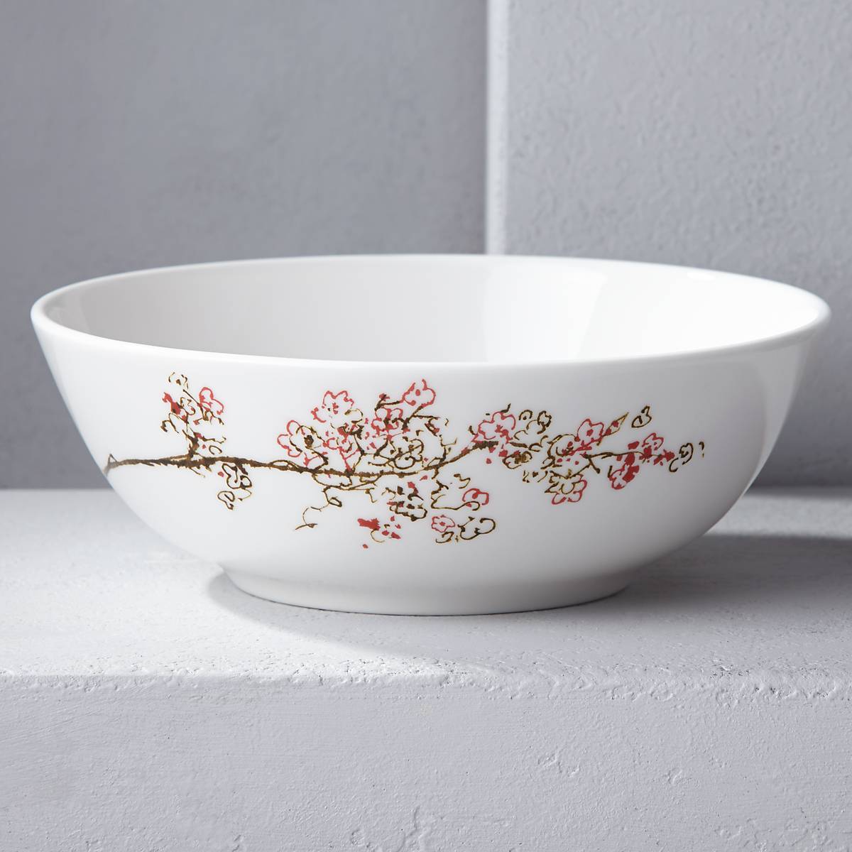 Chirp 4-Piece Dinnerware Set - Elegant Plates & Bowls for Everyday Dining & Entertaining | Perfect for Family Meals, Dinner Parties & Restaurant-Style Presentation