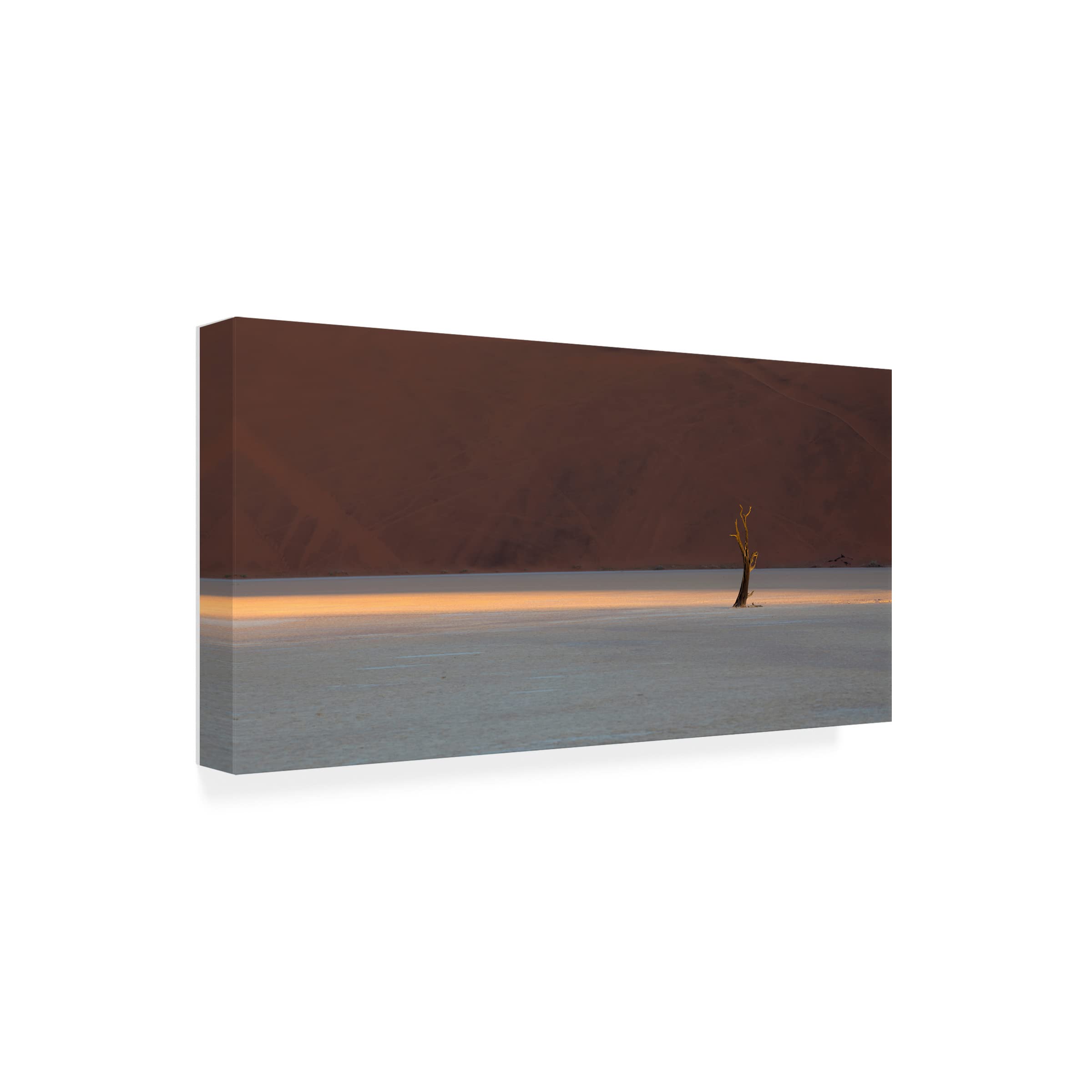 Trademark Fine Art 'Deadviel' Canvas Wall Art by Roberto Marchegiani - Hand-Painted Modern Abstract Painting for Living Room, Bedroom & Office Decor