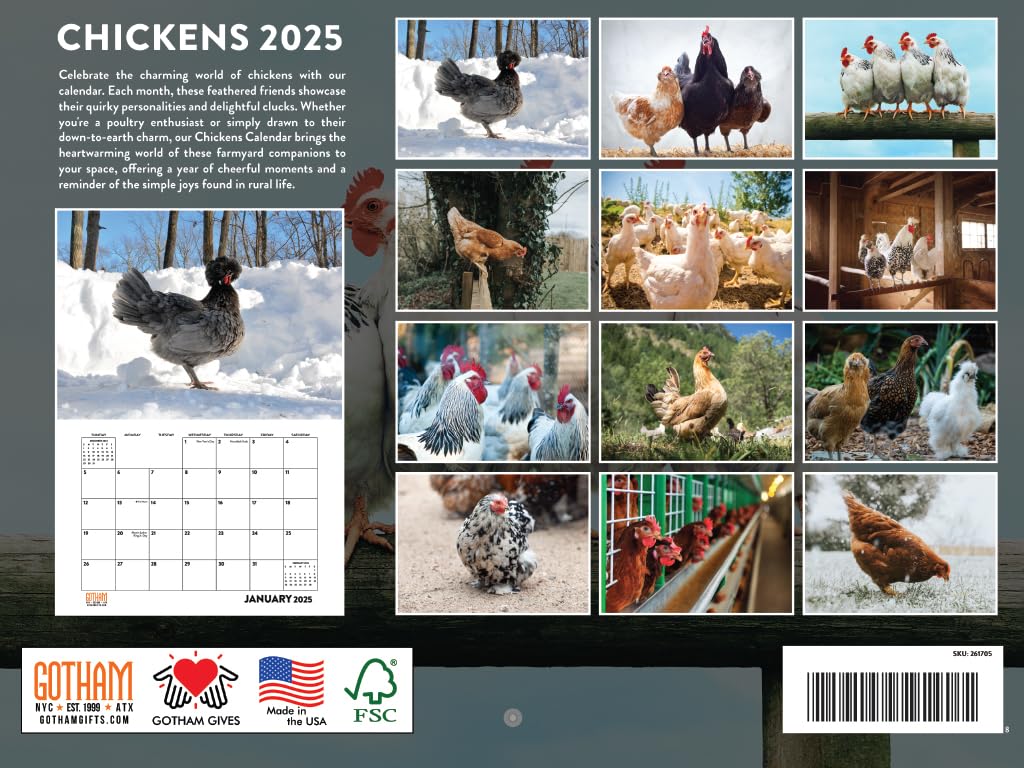 2025 Chicken Hen Rooster Wall Calendar - 12 Month Farm Animal Themed Planner | American Made | Perfect for Kitchen, Barn & Country Home Decor