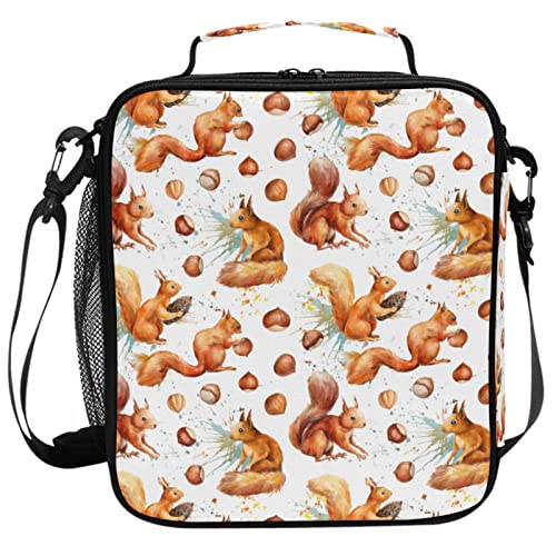 Squirrel