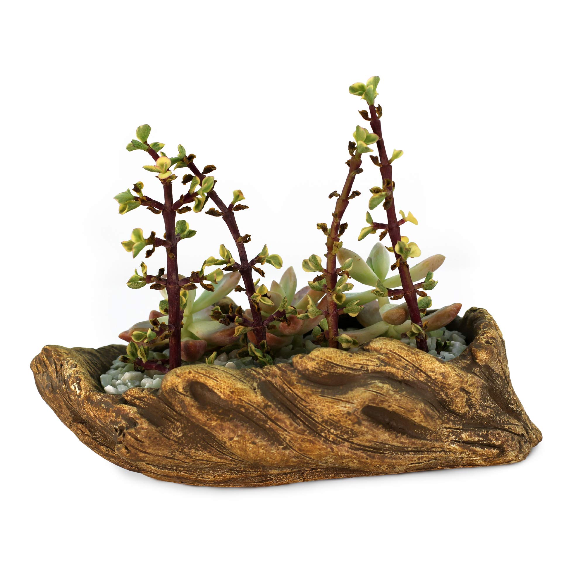Ceramic Wood Planter Pot - Indoor/Outdoor Log Planter for Succulents, Flowers & Small Plants | Rustic Driftwood Design | Perfect for Home Decor, Office Desk & Garden Use