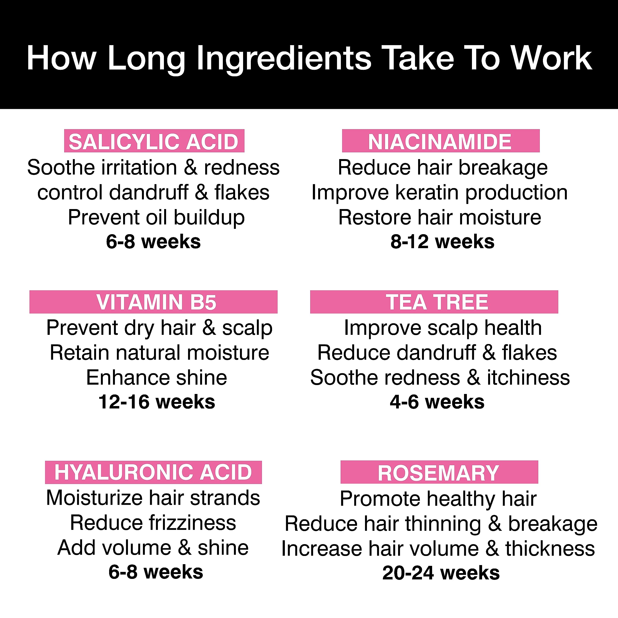 Soulflower Rosemary Shampoo for Hair Growth & Anti Hair Fall - Strengthens & Shines Hair with Tea Tree & Pro Vitamin B5 - Promotes Healthy Scalp for Men & Women (200ml) - Perfect for Daily Hair Care & Scalp Nourishment
