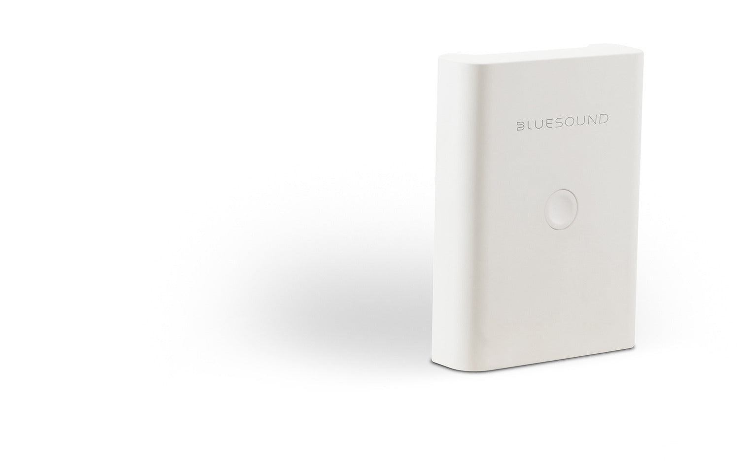 Bluesound Pulse Flex Battery Pack - Portable Power for Wireless Speaker | Perfect for Outdoor, Travel & Home Use