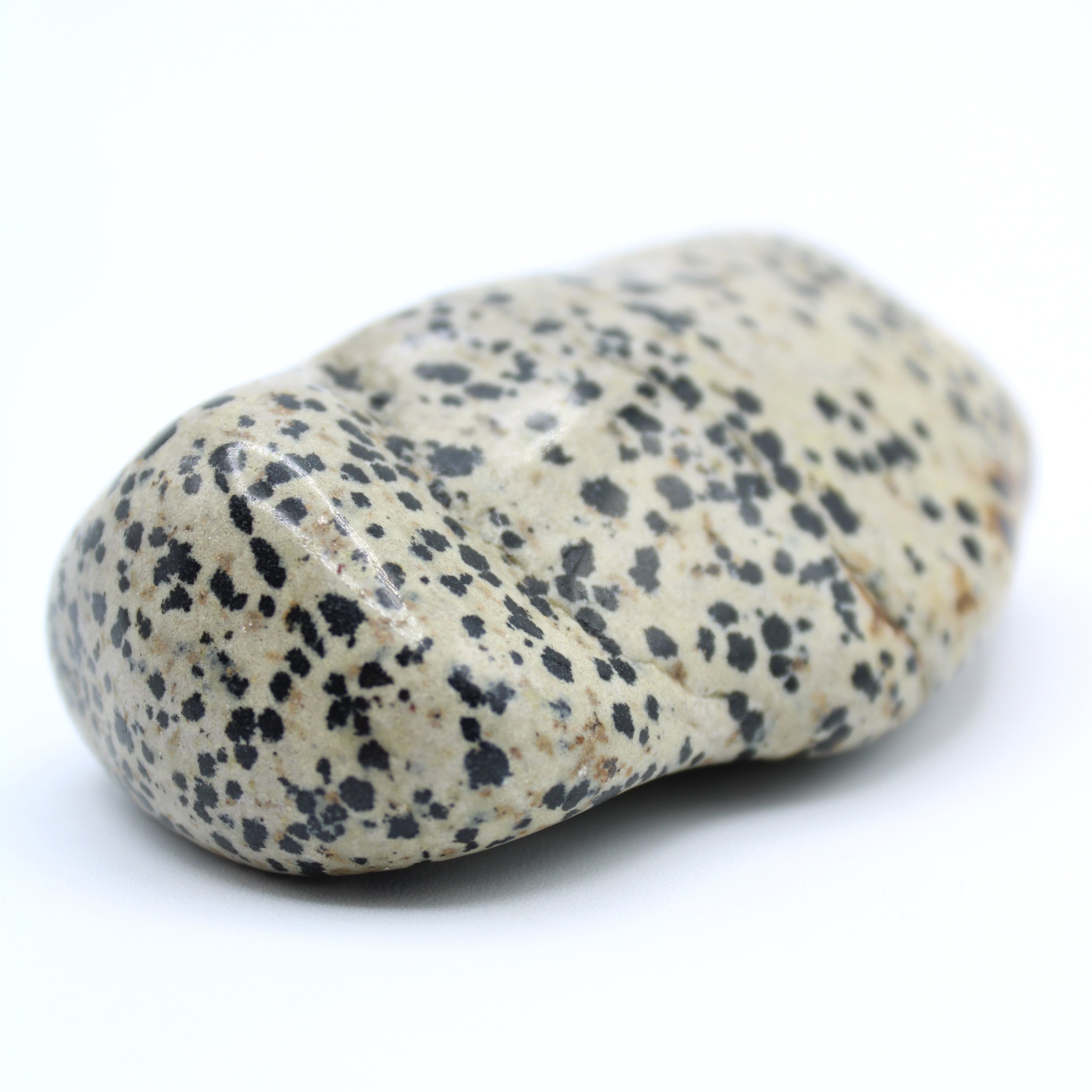 Natural Dalmatian Jasper Free Form Stone - Healing Crystal for Stress Relief & Positive Energy | Home Decor, Meditation & Spiritual Gifts
