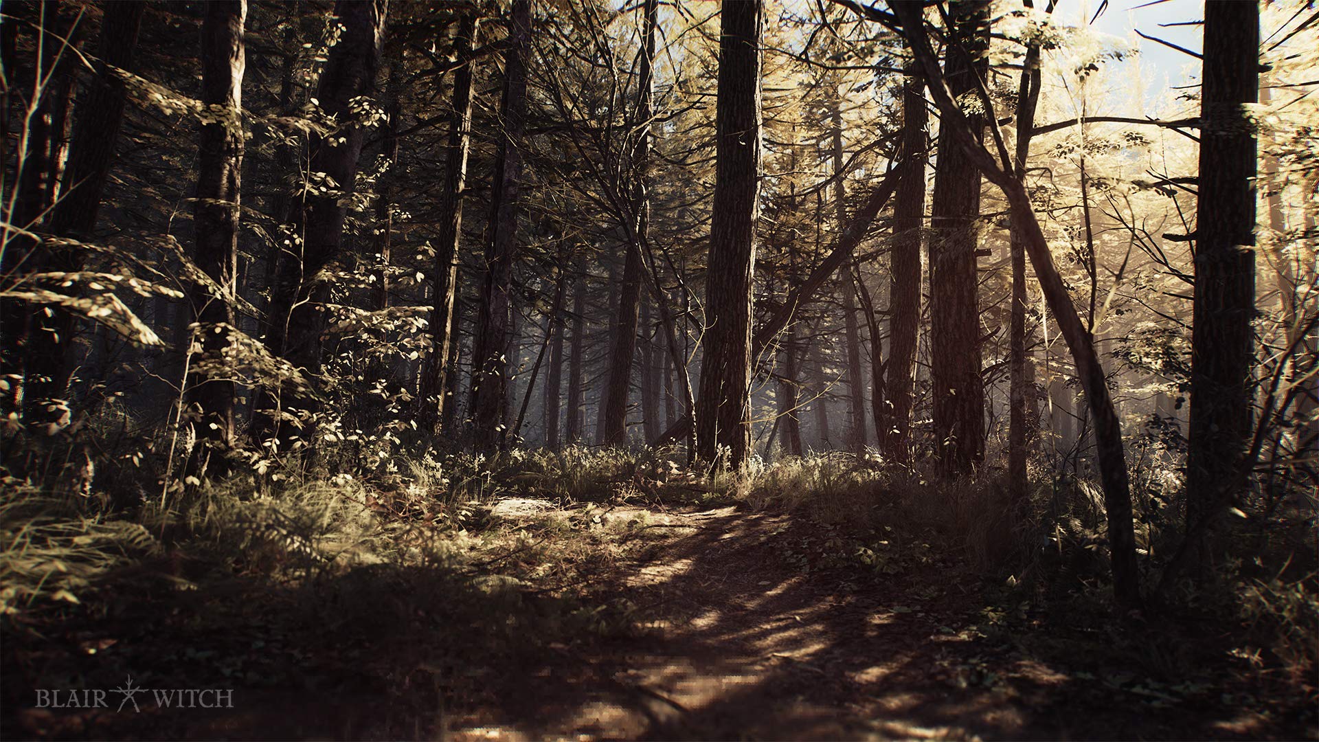 Blair Witch Game for PS4 - Horror Survival Adventure | Explore the Haunted Woods & Solve Mysteries | Perfect for Thriller Fans & Gamers