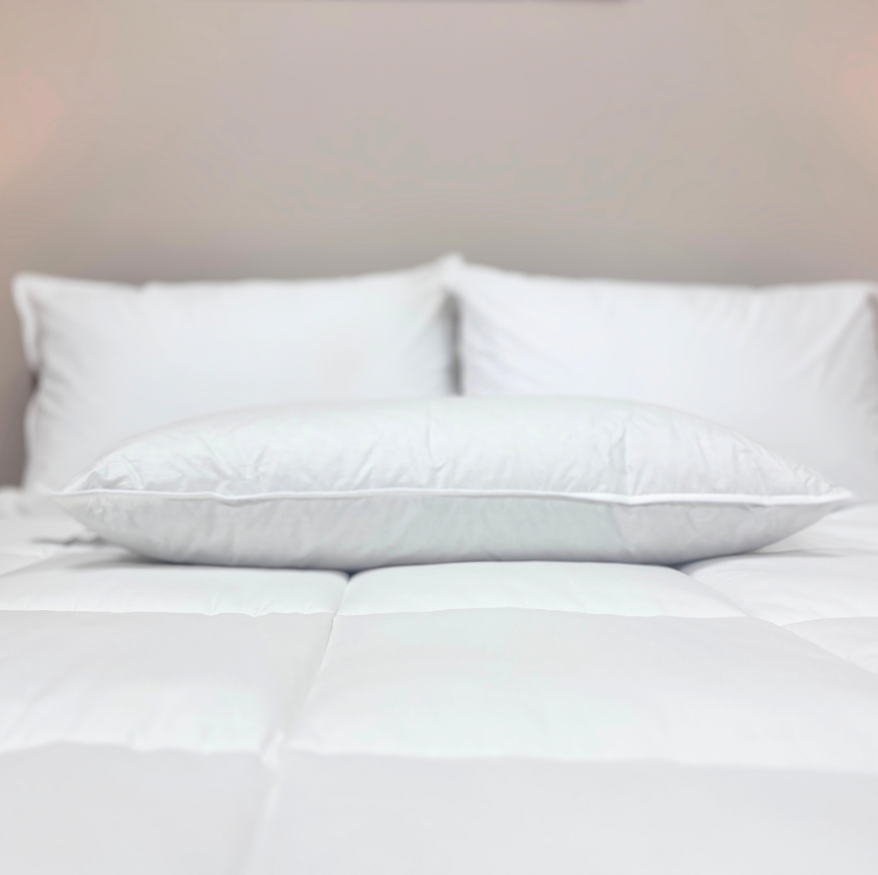 Premium Downlite 50/50 Waterfowl Feather & Grey Down Pillow - Ultra Soft & Supportive for Side, Back & Stomach Sleepers - Perfect for Bedroom, Guest Room & Hotel Use
