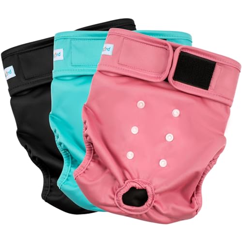 Cheerful (Black Lining)