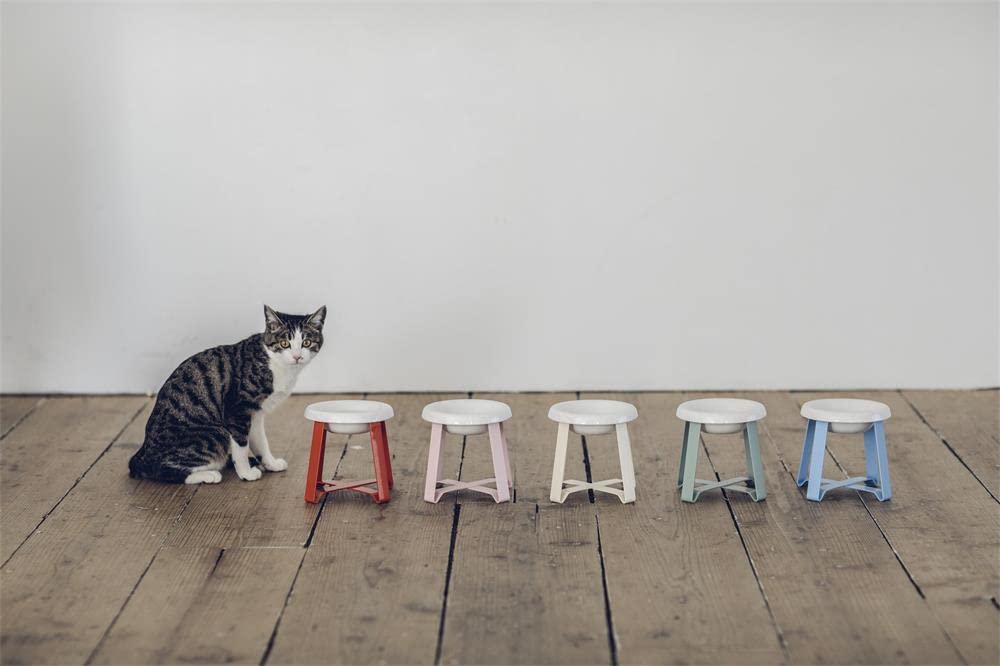 Premium Ceramic Elevated Cat & Small Dog Bowl - Spine Protection, Easy to Clean, Modern Design for Dining & Feeding Station - Perfect for Home, Kitchen, or Vet Clinic Use