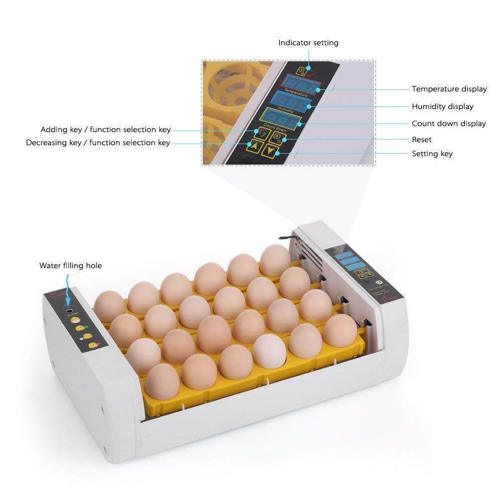 24 Egg Digital Incubator with Automatic Temperature Control - 110V Poultry Hatcher for Chicken, Duck, Goose & Quail Eggs | Perfect for Home Farming, Classroom Projects & Bird Breeding