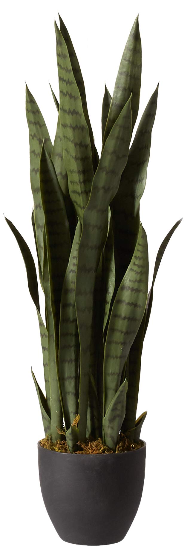 Nearly Natural 43in. Dracaena Silk Artificial Plant with Real Touch Technology - Green & Green 4855 35in. Sansevieria Artificial Plant in Black Planter - Perfect for Home Office Decor, Living Room, and Indoor Spaces