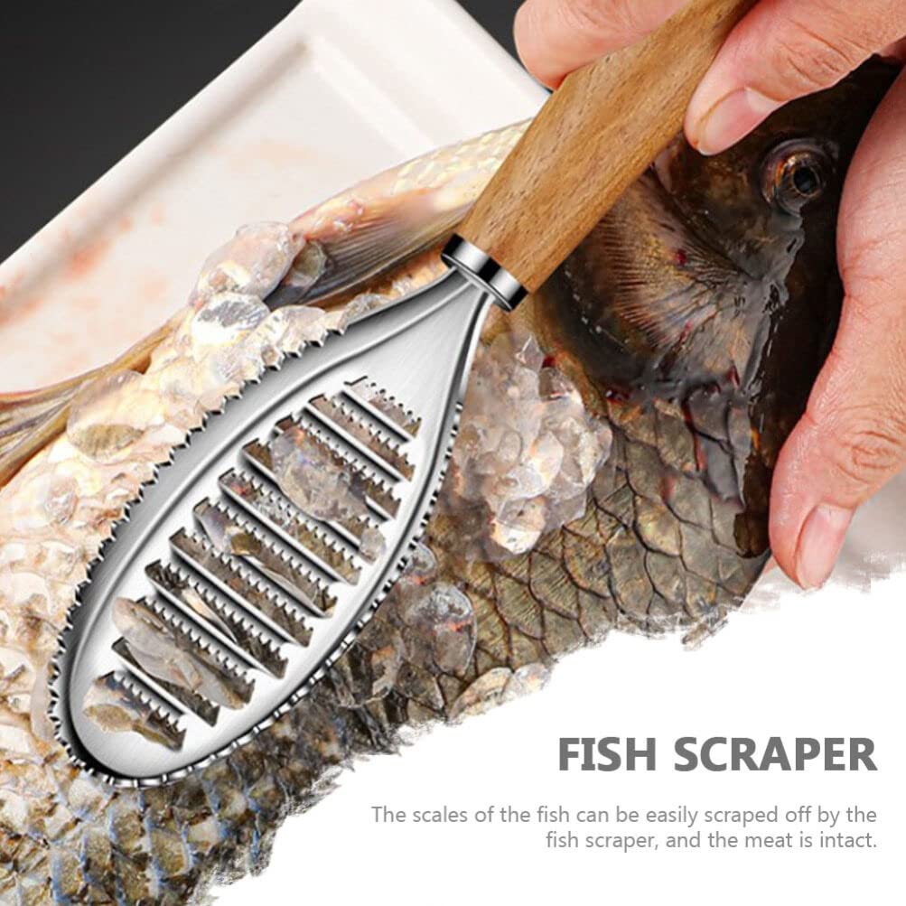 Stainless Steel Fish Scaler Brush - Professional Fish Scale Remover Tool with Sawtooth Design for Kitchen | Perfect for Cleaning Salmon, Tilapia, Bass and More | Essential Kitchen Gadget for Home Cooks & Fishermen