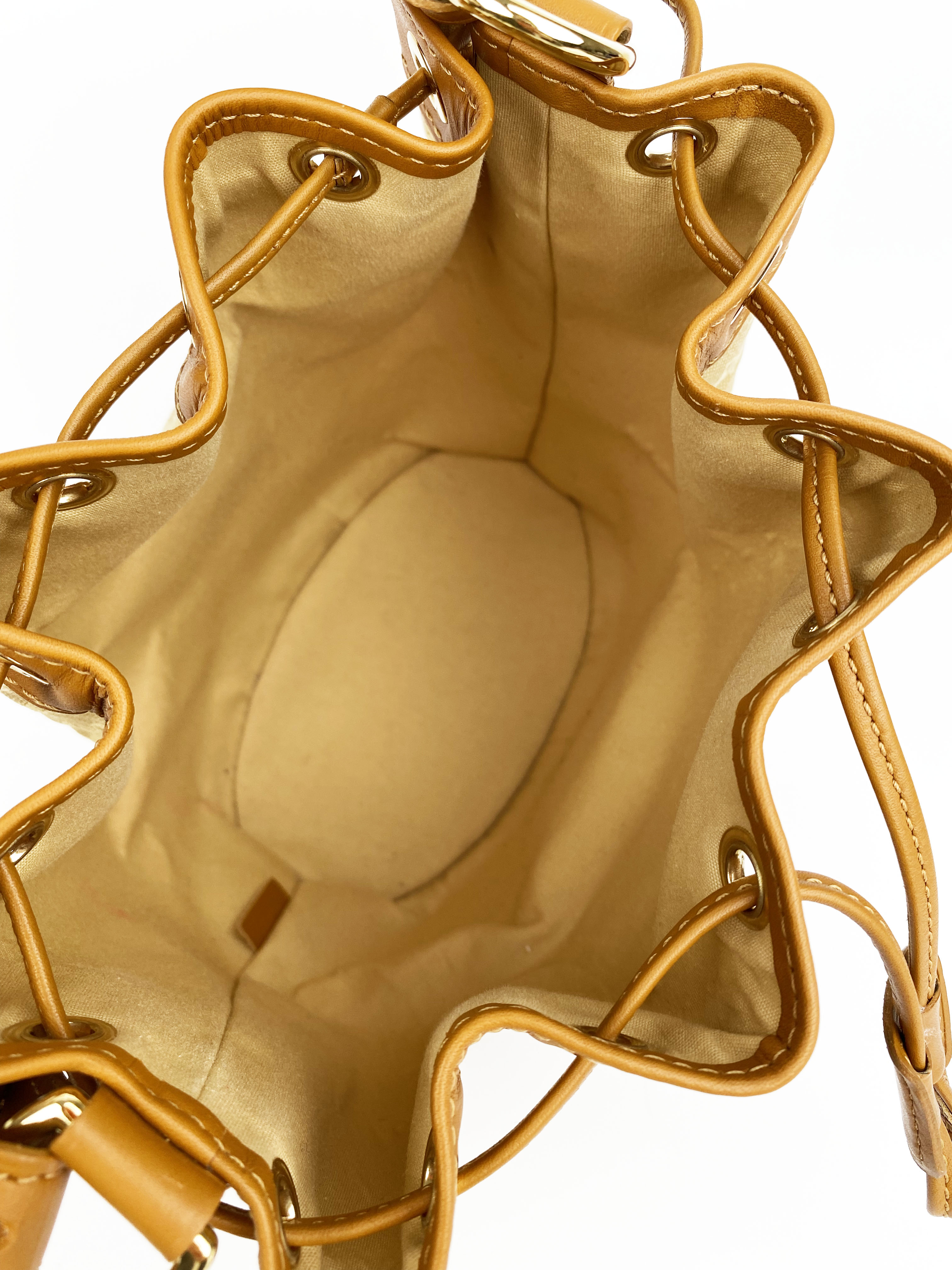 Authentic Louis Vuitton Mini Noelie Bucket Bag in Tan - Luxury Crossbody Handbag for Women, Perfect for Date Night & Travel Accessories