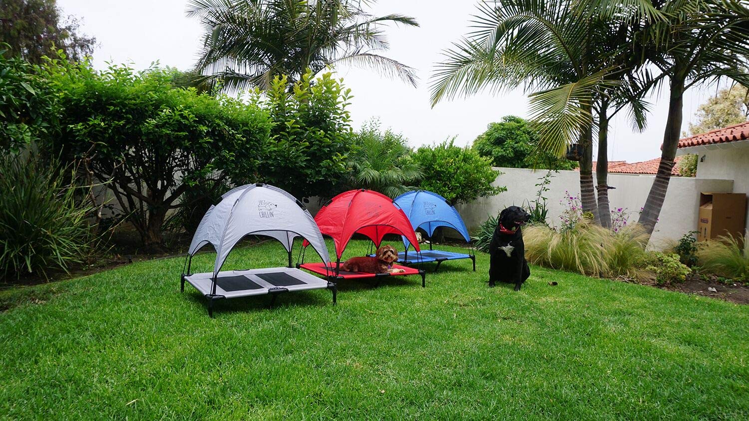 Floppy Dawg Elevated Dog Bed - Portable Cool Cot with Canopy for Indoor & Outdoor Use