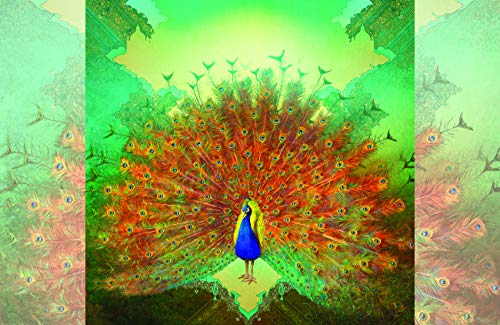 Pretty Peacock