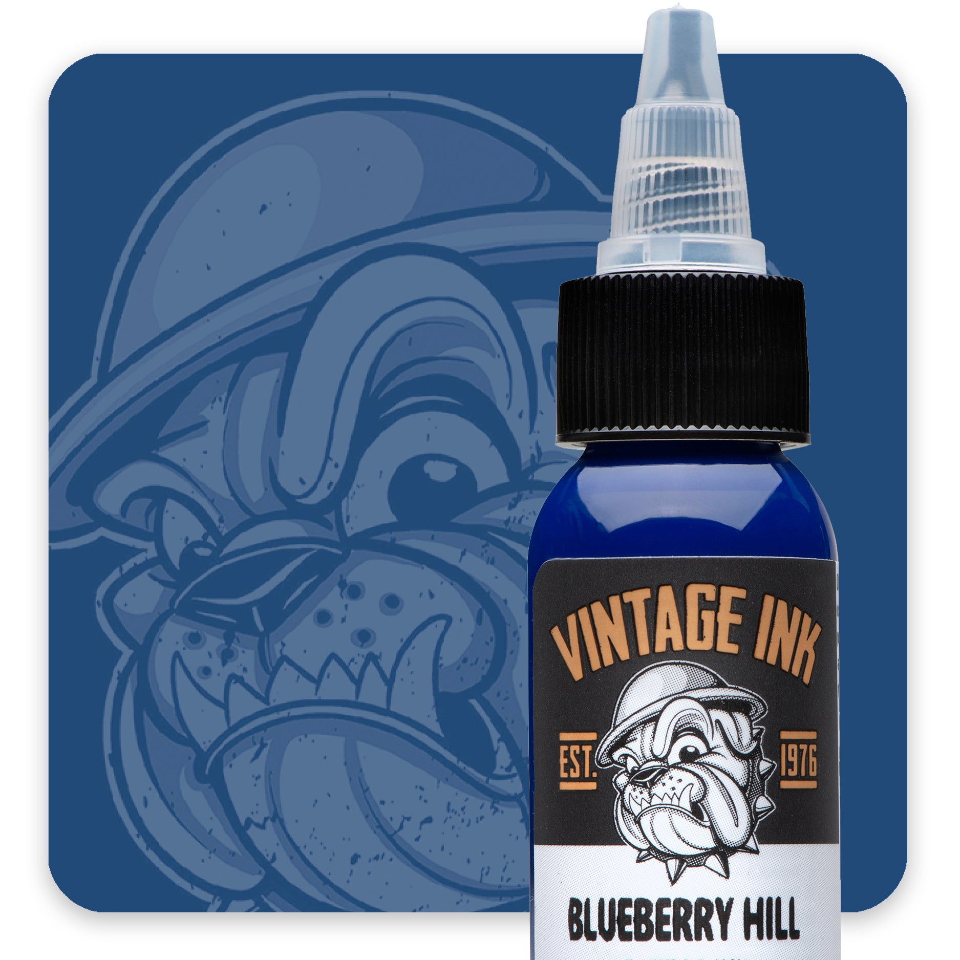 Eternal Vintage Fountain Pen Ink - Blueberry Hill Ink for Calligraphy, Writing & Art - Perfect for Journals, Letters & Creative Projects