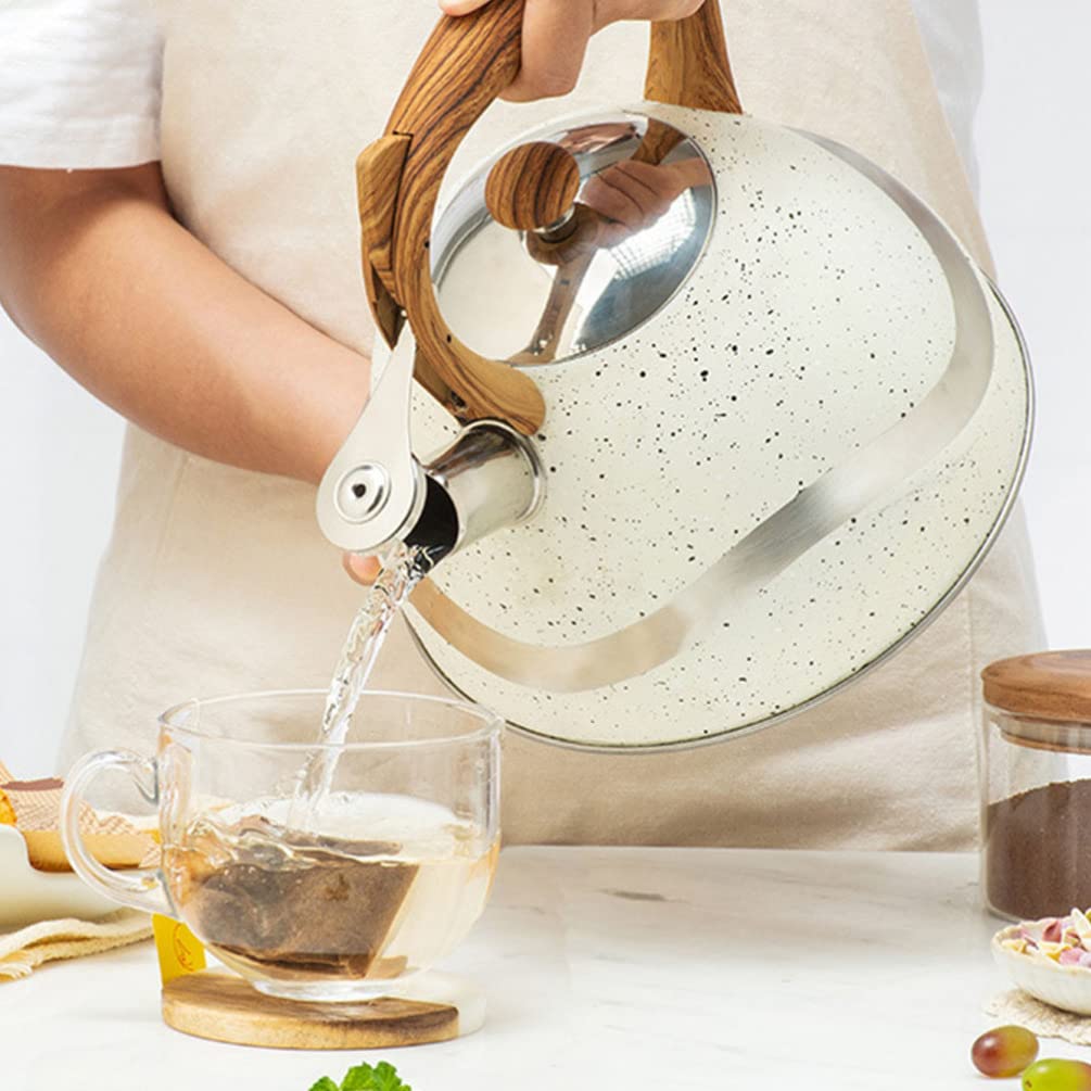 HEMOTON 1pc Stainless Steel Whistling Tea Kettle - Stovetop Whistle Kettle for Gas & Electric Stoves - Classic Tea Pot for Home, Kitchen & Camping - Perfect for Boiling Water, Making Tea & Coffee