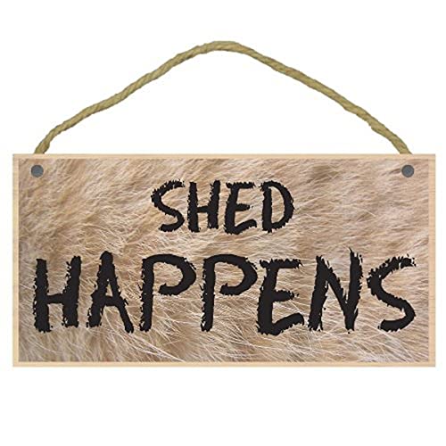 Shed Happens
