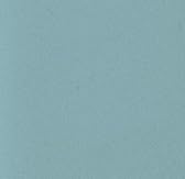 Blue Whale