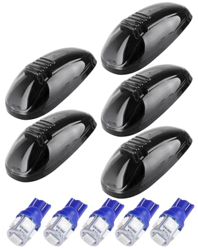 Smoke Len Blue Bulbs