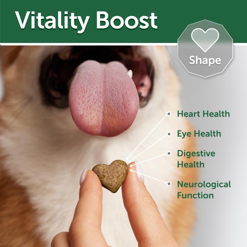 Premium Digestive Support Dog Treats with White Fish & Rice - Healthy Snacks for Adult Dogs - Ideal for Training, Rewards & Digestive Health